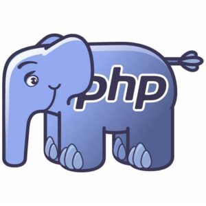 How to Become a PHP Developer in India
